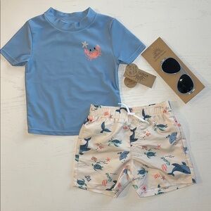Wonderluxe Toddler Boy Blue Cream Sea Animals Swim Trunks Rash Guard 3T 4T